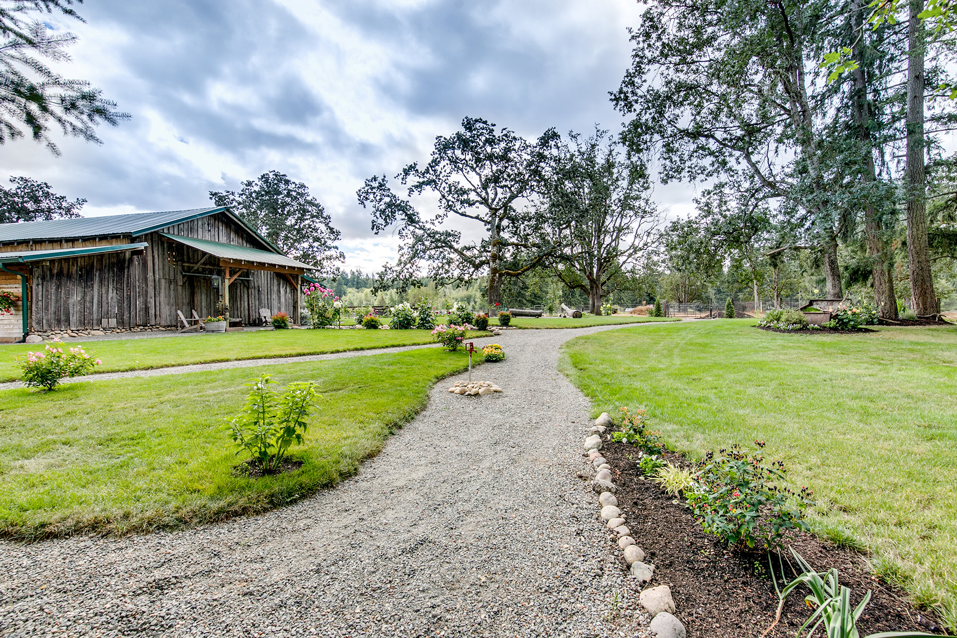 Back of Barn and Oak Trees