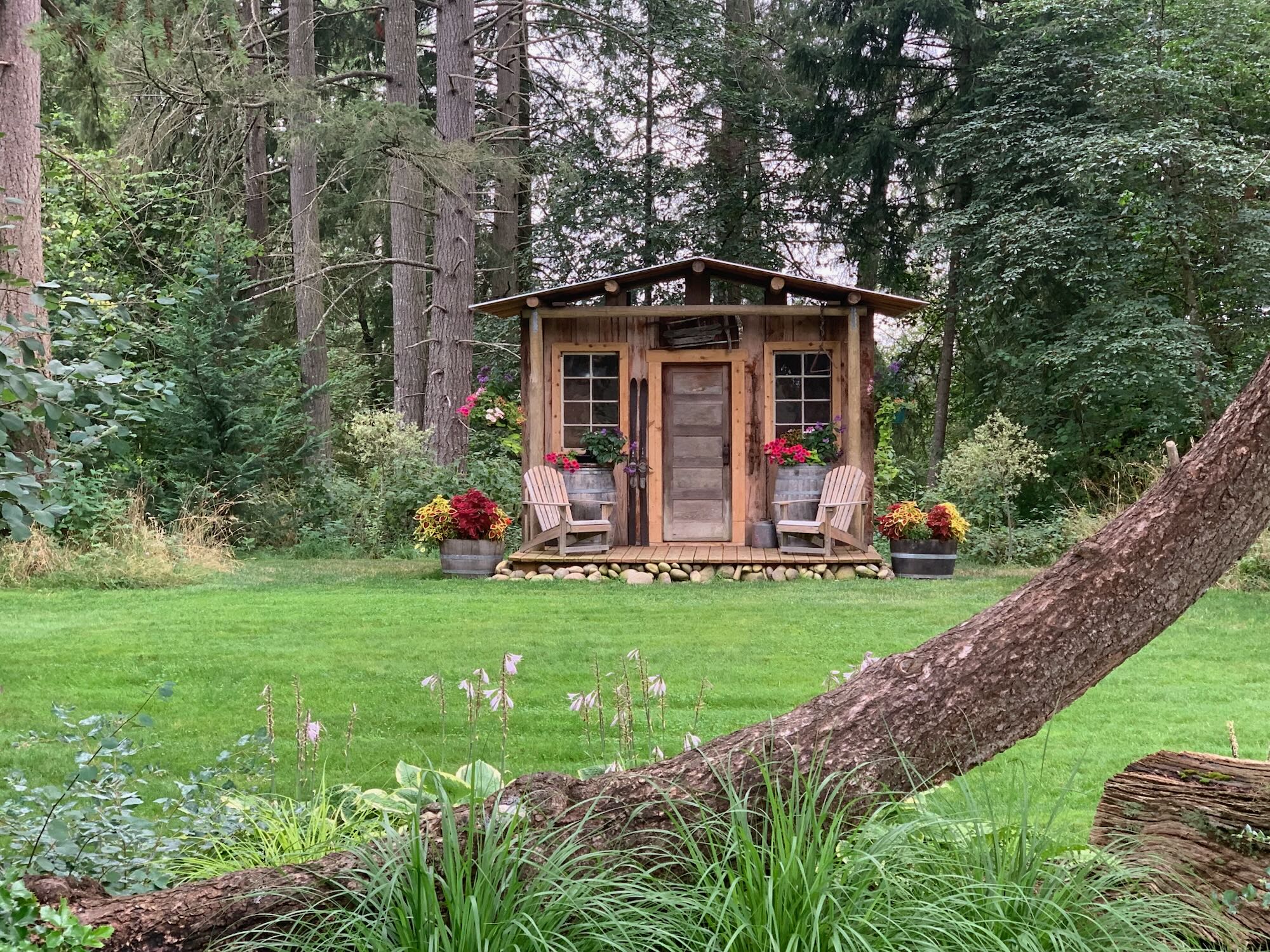 The Cabin