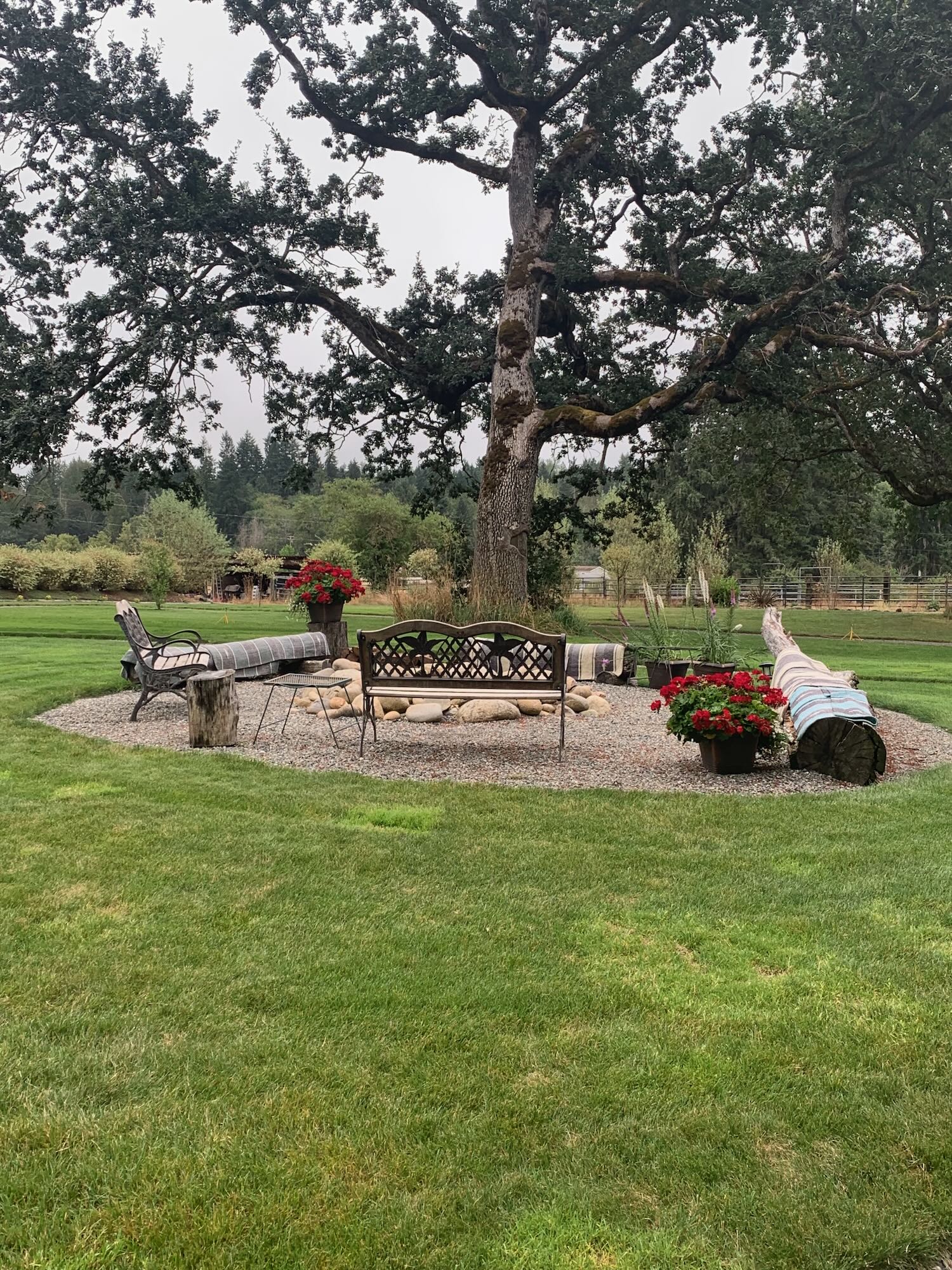Firepit